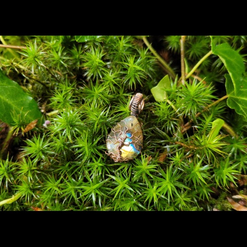 20250512_141129_1677150695