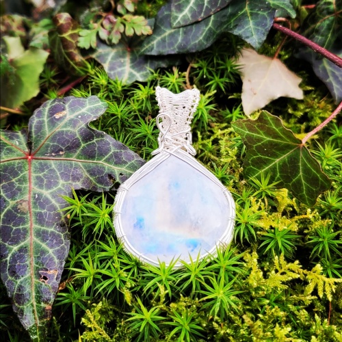 img_20250208_124524_000